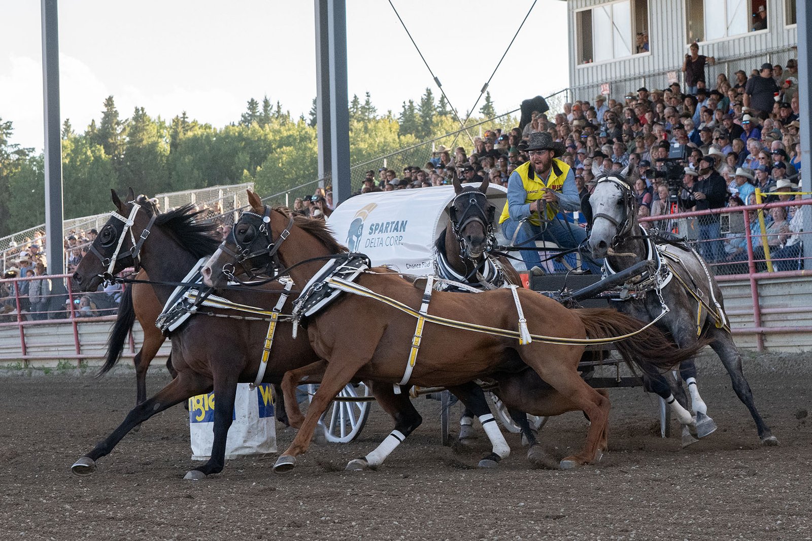 Chuckwagon racing at Battle of the Rockies