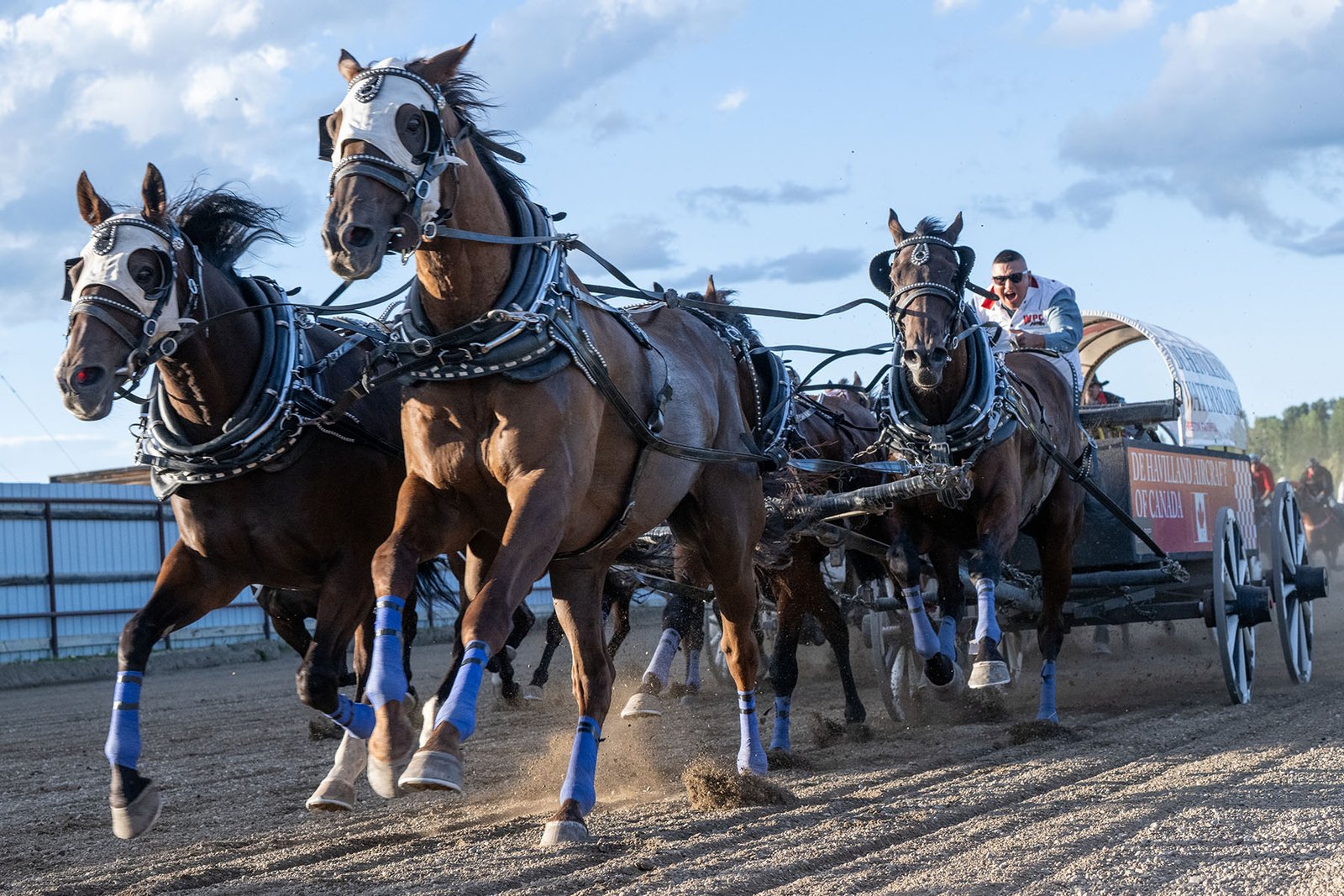 Chuckwagons racing at Battle of the Rockies
